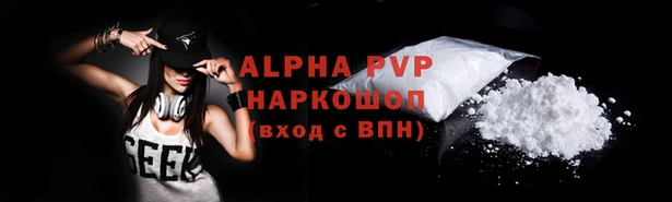 spice Бородино