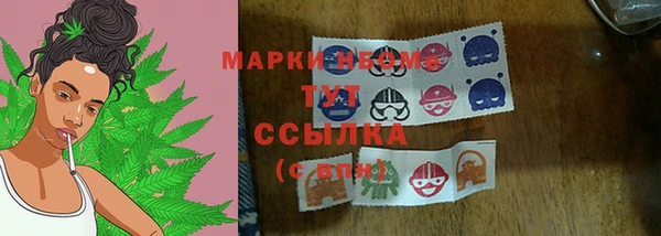 spice Бородино