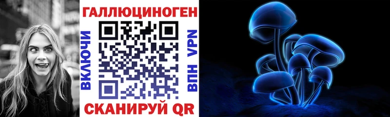 где купить наркоту Нелидово Псилоцибиновые грибы Magic Shrooms
